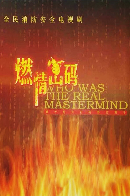 国产剧：燃情密码 Who Was The Real Mastermind