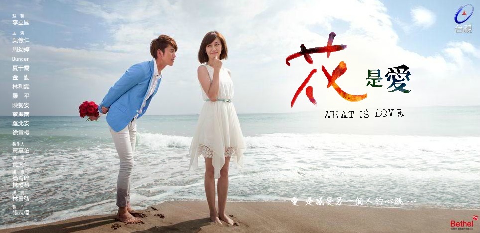 台剧：花是爱 What Is Love